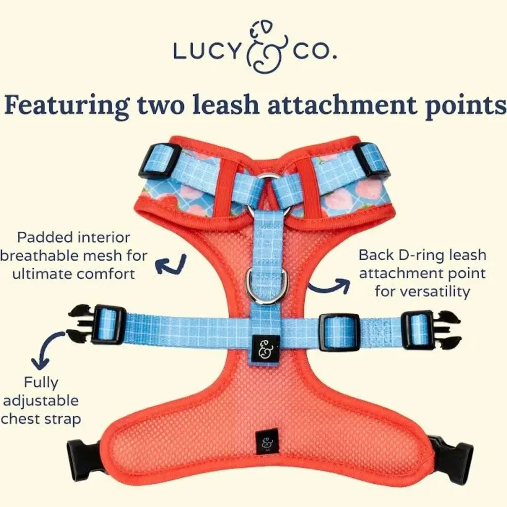 LUCY & CO dog harnesses XL